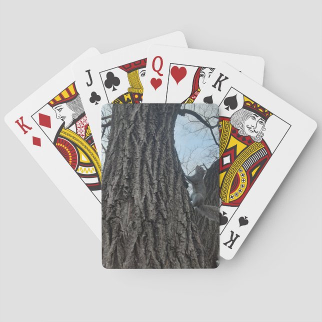 Squirrel Poker Cards (Back)