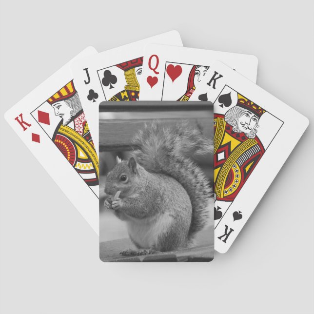 Squirrel Poker Cards (Back)