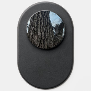 Squirrel  PopSocket