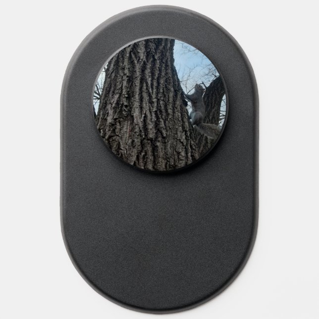 Squirrel  PopSocket (Popsocket)