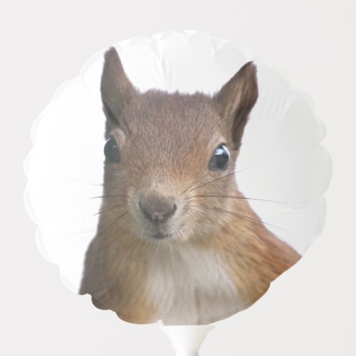 Squirrel Portrait Balloon