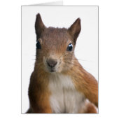 Squirrel Portrait Card (Front)