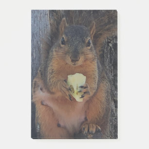 Squirrel post-it notes