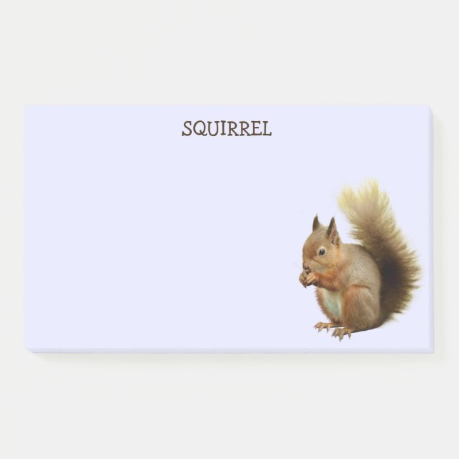 Squirrel Post-it Notes (Front)