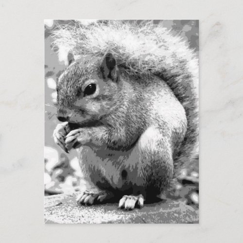 Squirrel Postcard