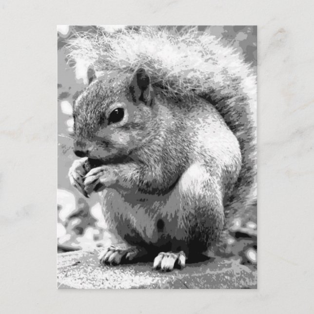 Squirrel Postcard (Front)