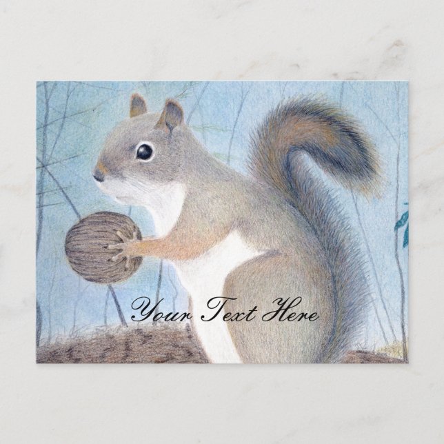 Squirrel Postcard (Front)