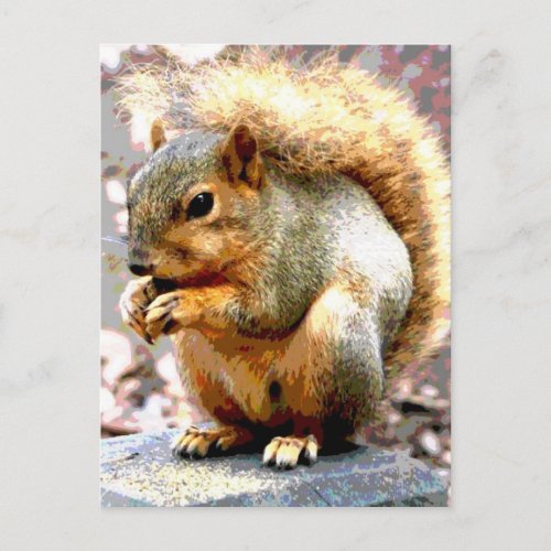 Squirrel Postcard