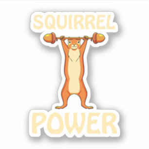 Squirrel Power Squirrel Rodent Animal Lovers. Perf Sticker