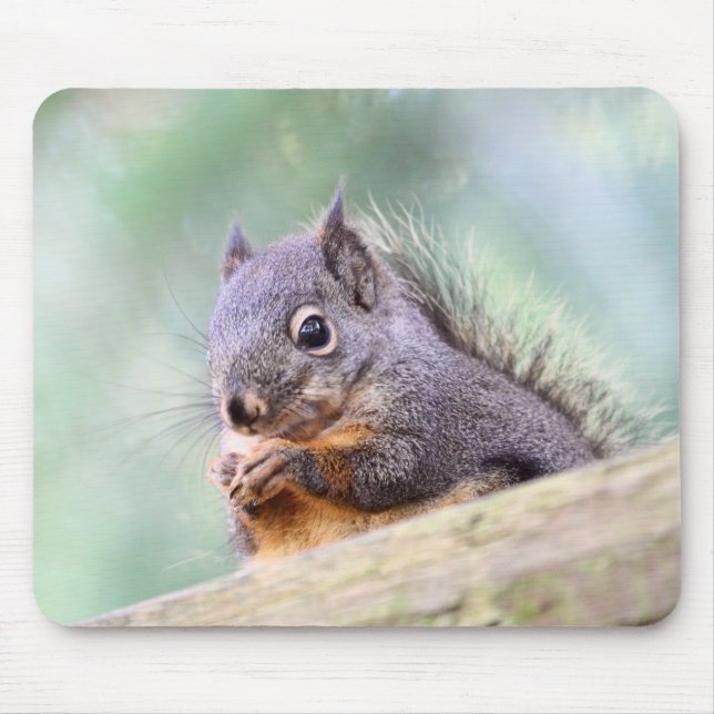 Squirrel Praying for Peanuts Mouse Pad (Front)