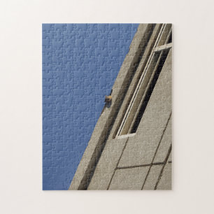 Squirrel Puzzle