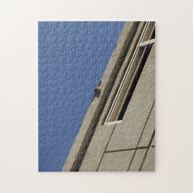 Squirrel Puzzle (Vertical)