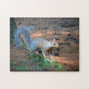 Squirrel Puzzle