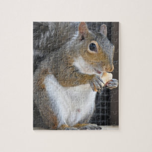 Squirrel - Puzzle