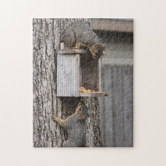 Squirrel puzzle Two Squirrels Jigsaw Puzzle