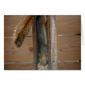 Squirrel Raiding Bird Feeder (Front Horizontal)