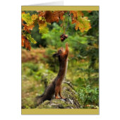 Squirrel Reaching For Acorns On A Fall Day (Front)