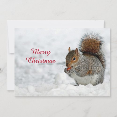 Squirrel Red Berry Snow Photo Christmas Flat Holiday Card