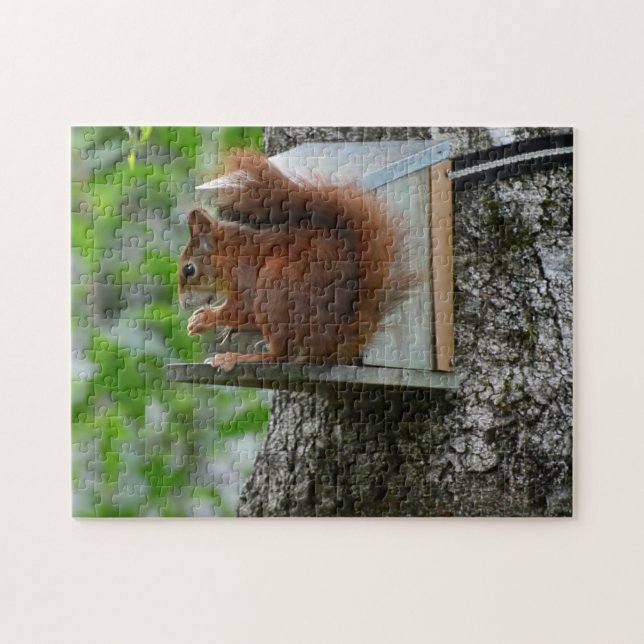Squirrel Red Rodent Cute Nature Garden Meal Nut Jigsaw Puzzle (Horizontal)