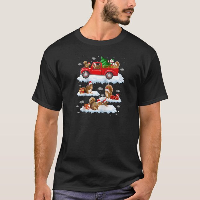 Squirrel Riding Red Truck Xmas Merry Christmas Rag T-Shirt (Front)