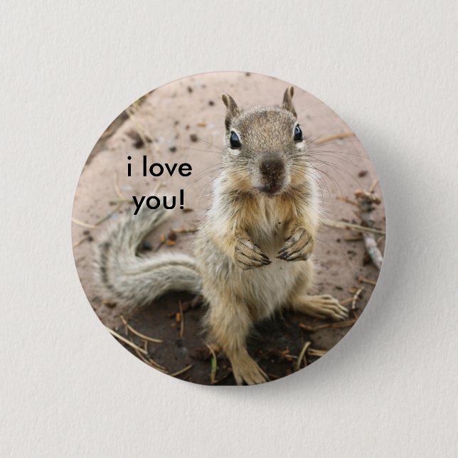 squirrel saying i love you pinback button (Front)