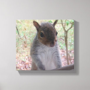 Squirrel says Hi! Canvas Print