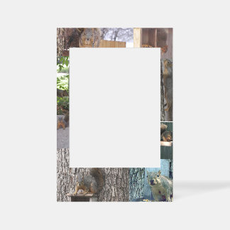 Squirrel Selfie Frame