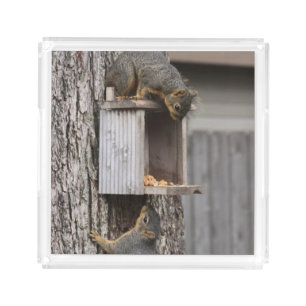 Squirrel Serving Tray