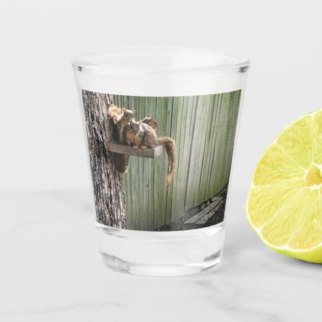 Squirrel Shot Glass (Front)