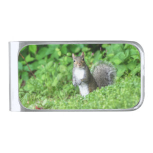 Squirrel Silver Finish Money Clip