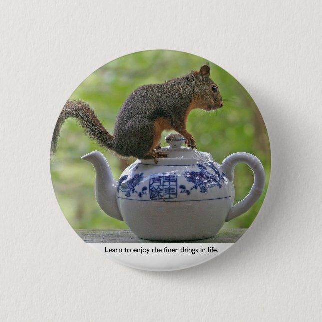 Squirrel Sitting on a Teapot Pinback Button (Front)