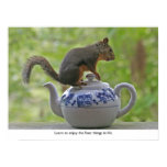 Squirrel Sitting on a Teapot Poster Squirrel Sitting on a Teapot Poster