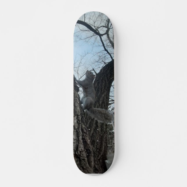 Squirrel Skateboard (Front)