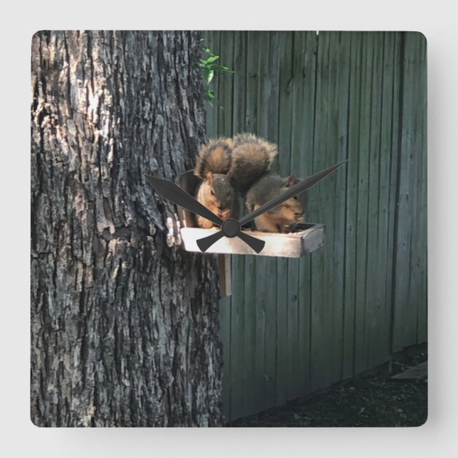 Squirrel  square wall clock (Front)