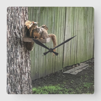 Squirrel Square Wall Clock