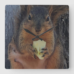 Squirrel  square wall clock