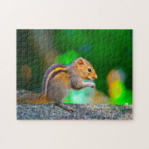 Squirrel Sri Lanka Jigsaw Puzzle