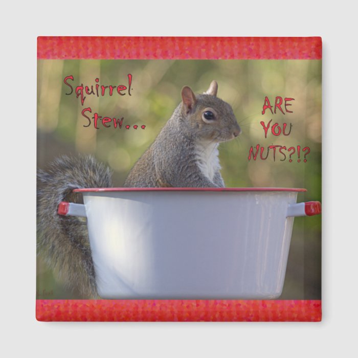 Squirrel StewARE YOU NUTS?? Magnets