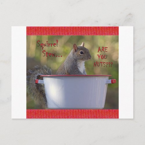 Squirrel Stew  ARE YOU NUTS Postcard