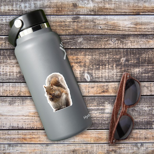 Squirrel Sticker (Birthday Depot
Squirrel Sticker)