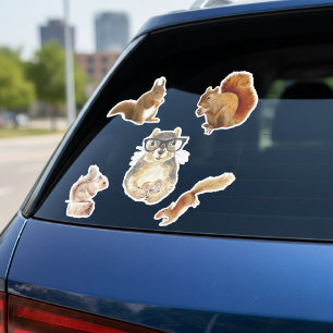 Squirrel Sticker Collection