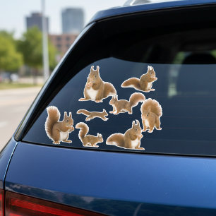 Squirrel Sticker Collection