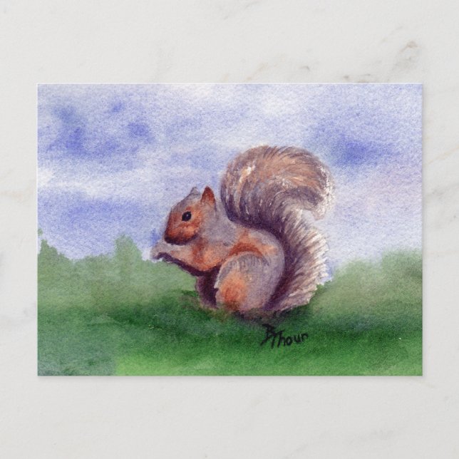 Squirrel Study Postcard (Front)
