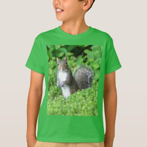 Squirrel T_Shirt