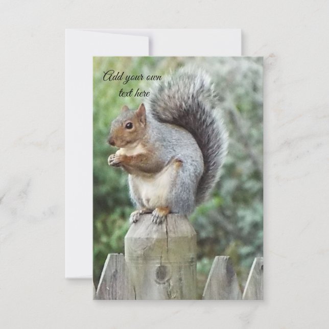 squirrel  thank you card (Front)