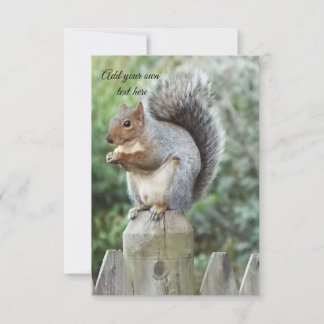squirrel  thank you card