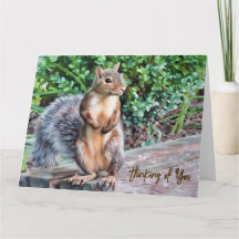 Squirrel - Thinking of You Card