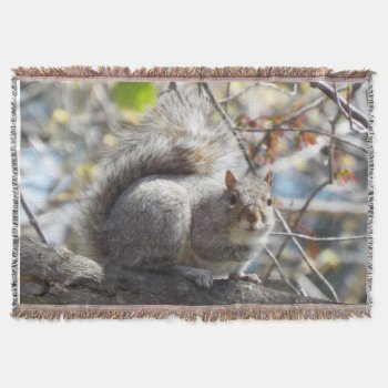 Squirrel Throw Blanket by RenderlyYours at Zazzle