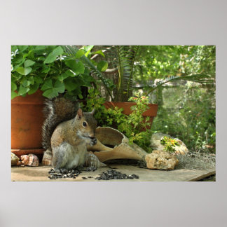 Squirrel Treats Poster -36x24 -other sizes also