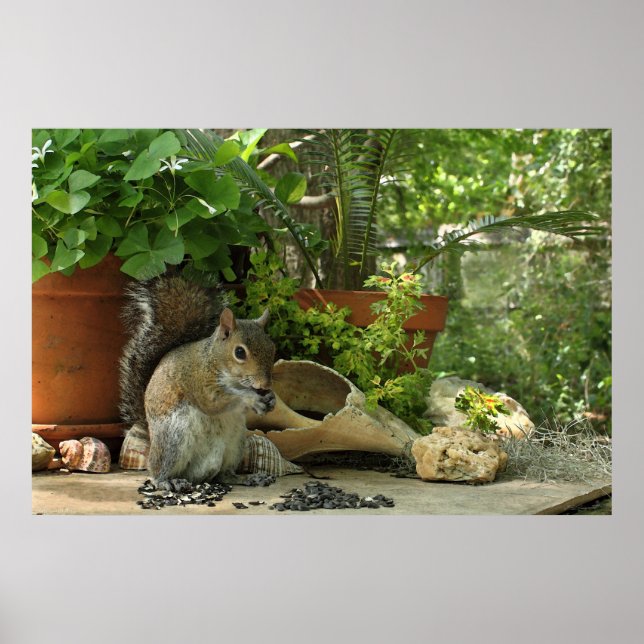 Squirrel Treats Poster -36x24 -other sizes also (Front)